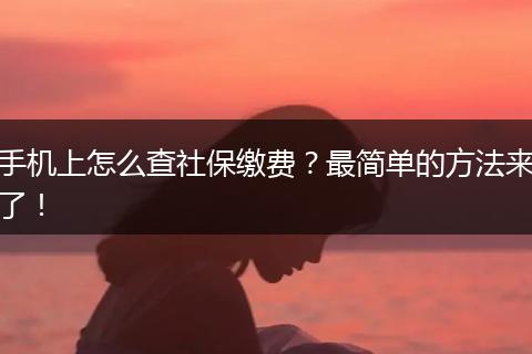 手机上怎么查社保缴费？最简单的方法来了！