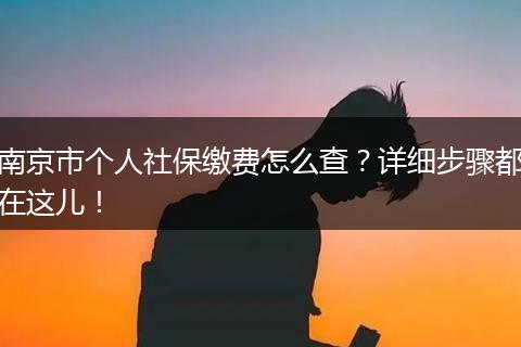南京市个人社保缴费怎么查？详细步骤都在这儿！