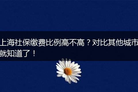 上海社保缴费比例高不高？对比其他城市就知道了！