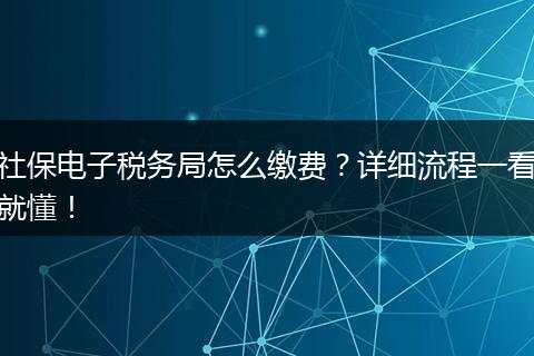 社保电子税务局怎么缴费？详细流程一看就懂！