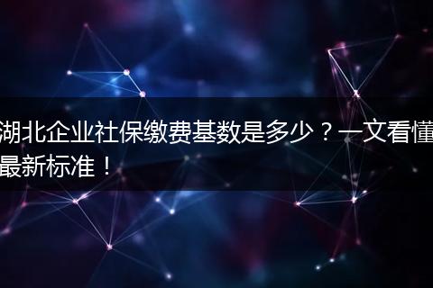 湖北企业社保缴费基数是多少？一文看懂最新标准！