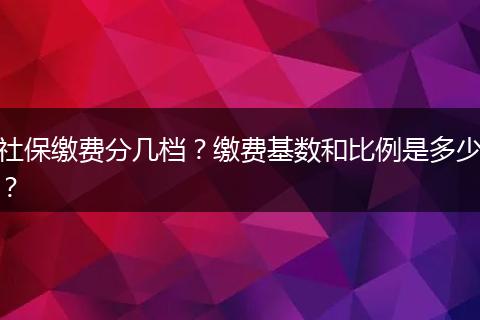 社保缴费分几档？缴费基数和比例是多少？