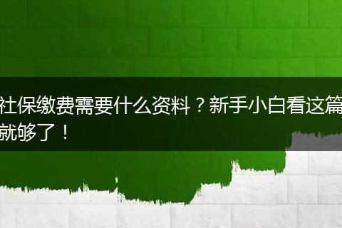 社保缴费需要什么资料？新手小白看这篇就够了！