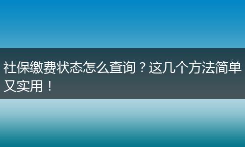 社保缴费状态怎么查询？这几个方法简单又实用！