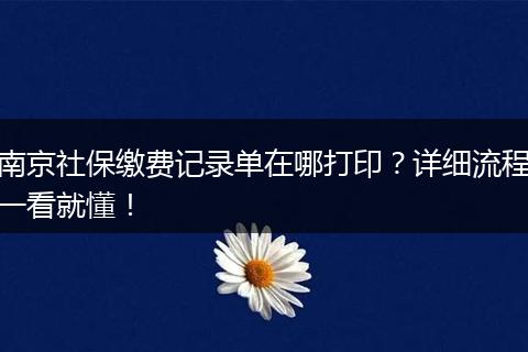 南京社保缴费记录单在哪打印？详细流程一看就懂！