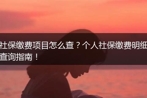 社保缴费项目怎么查？个人社保缴费明细查询指南！