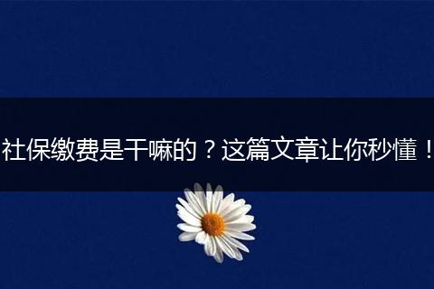 社保缴费是干嘛的？这篇文章让你秒懂！