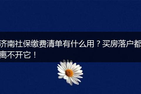 济南社保缴费清单有什么用？买房落户都离不开它！