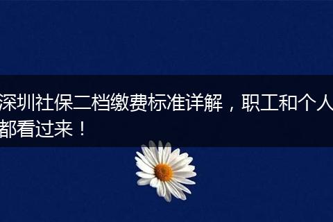 深圳社保二档缴费标准详解，职工和个人都看过来！