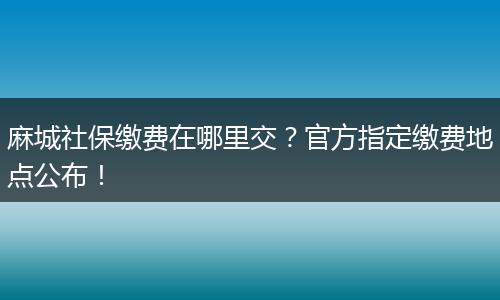 麻城社保缴费在哪里交？官方指定缴费地点公布！