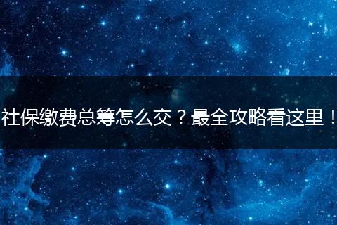社保缴费总筹怎么交？最全攻略看这里！