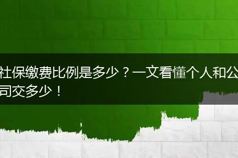 社保缴费比例是多少？一文看懂个人和公司交多少！