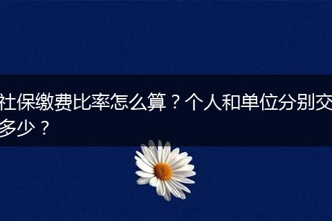 社保缴费比率怎么算？个人和单位分别交多少？