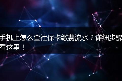 手机上怎么查社保卡缴费流水？详细步骤看这里！