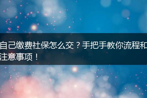 自己缴费社保怎么交？手把手教你流程和注意事项！