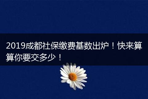 2019成都社保缴费基数出炉！快来算算你要交多少！