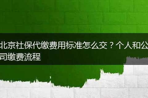 北京社保代缴费用标准怎么交？个人和公司缴费流程