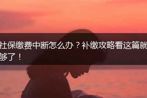 社保缴费中断怎么办？补缴攻略看这篇就够了！