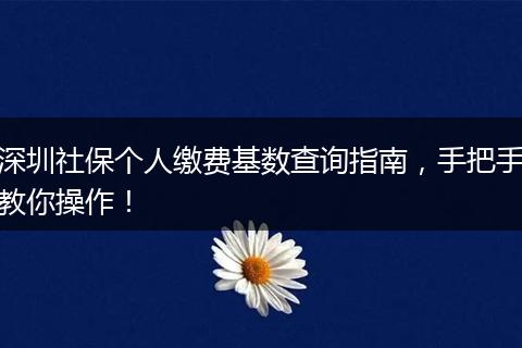深圳社保个人缴费基数查询指南，手把手教你操作！