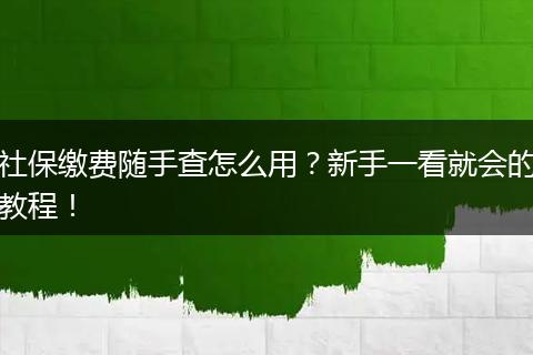 社保缴费随手查怎么用？新手一看就会的教程！