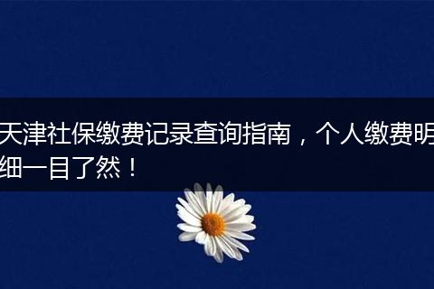天津社保缴费记录查询指南，个人缴费明细一目了然！
