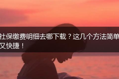 社保缴费明细去哪下载？这几个方法简单又快捷！