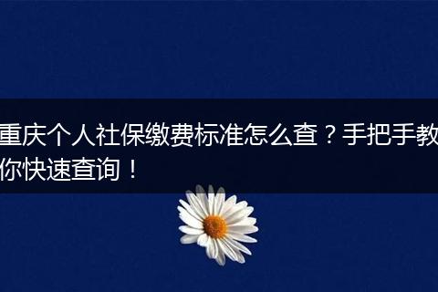 重庆个人社保缴费标准怎么查？手把手教你快速查询！