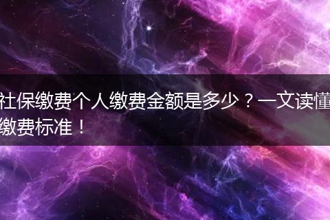 社保缴费个人缴费金额是多少？一文读懂缴费标准！