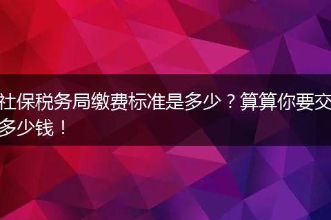 社保税务局缴费标准是多少？算算你要交多少钱！