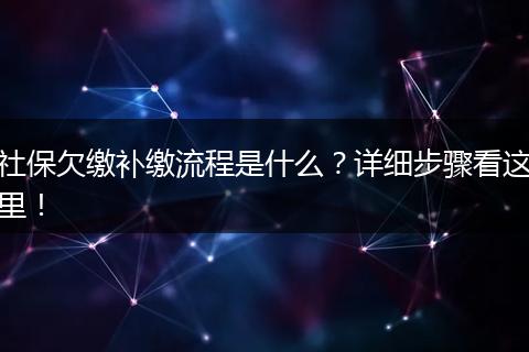 社保欠缴补缴流程是什么？详细步骤看这里！