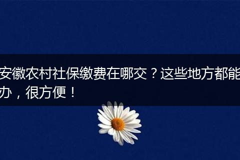 安徽农村社保缴费在哪交？这些地方都能办，很方便！