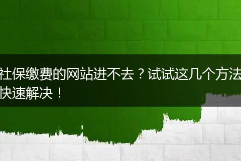 社保缴费的网站进不去？试试这几个方法快速解决！
