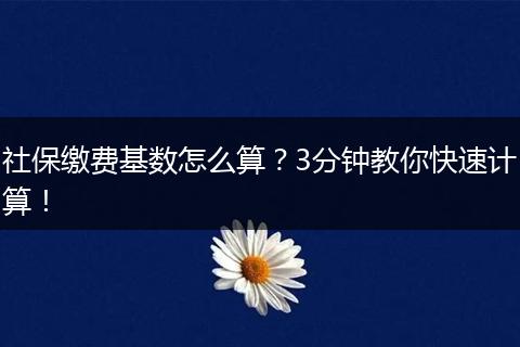 社保缴费基数怎么算？3分钟教你快速计算！