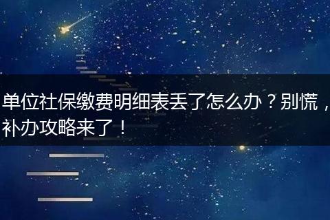 单位社保缴费明细表丢了怎么办？别慌，补办攻略来了！
