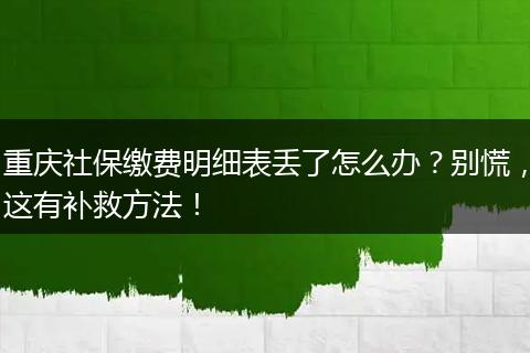 重庆社保缴费明细表丢了怎么办？别慌，这有补救方法！