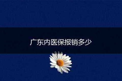 广东内医保报销多少