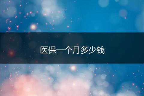 医保一个月多少钱