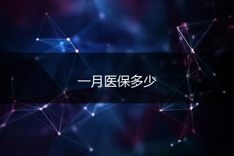 一月医保多少