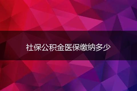 社保公积金医保缴纳多少