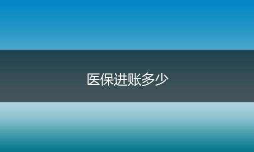 医保进账多少