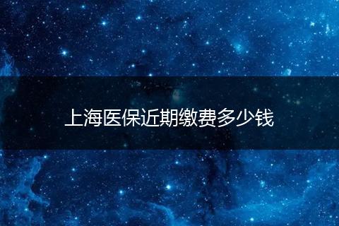 上海医保近期缴费多少钱