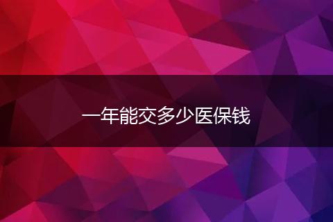一年能交多少医保钱