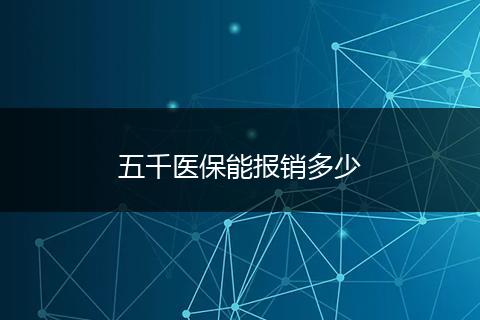 五千医保能报销多少