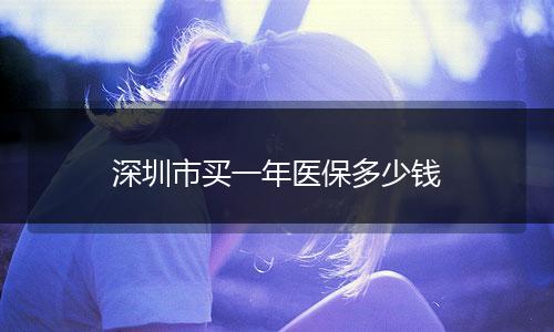 深圳市买一年医保多少钱