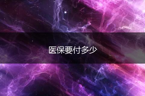 医保要付多少