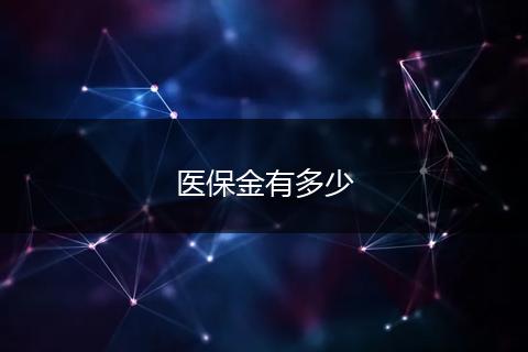 医保金有多少