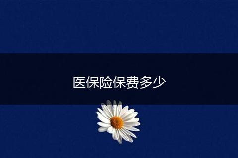 医保险保费多少