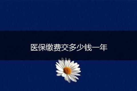 医保缴费交多少钱一年