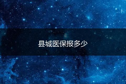 县城医保报多少