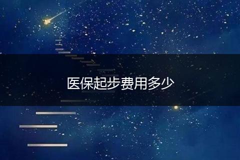 医保起步费用多少